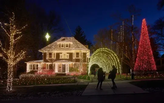 Christmas Decorations
