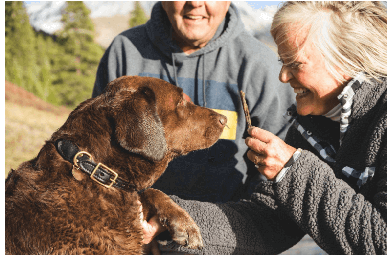 Elevating Seniors' Joy